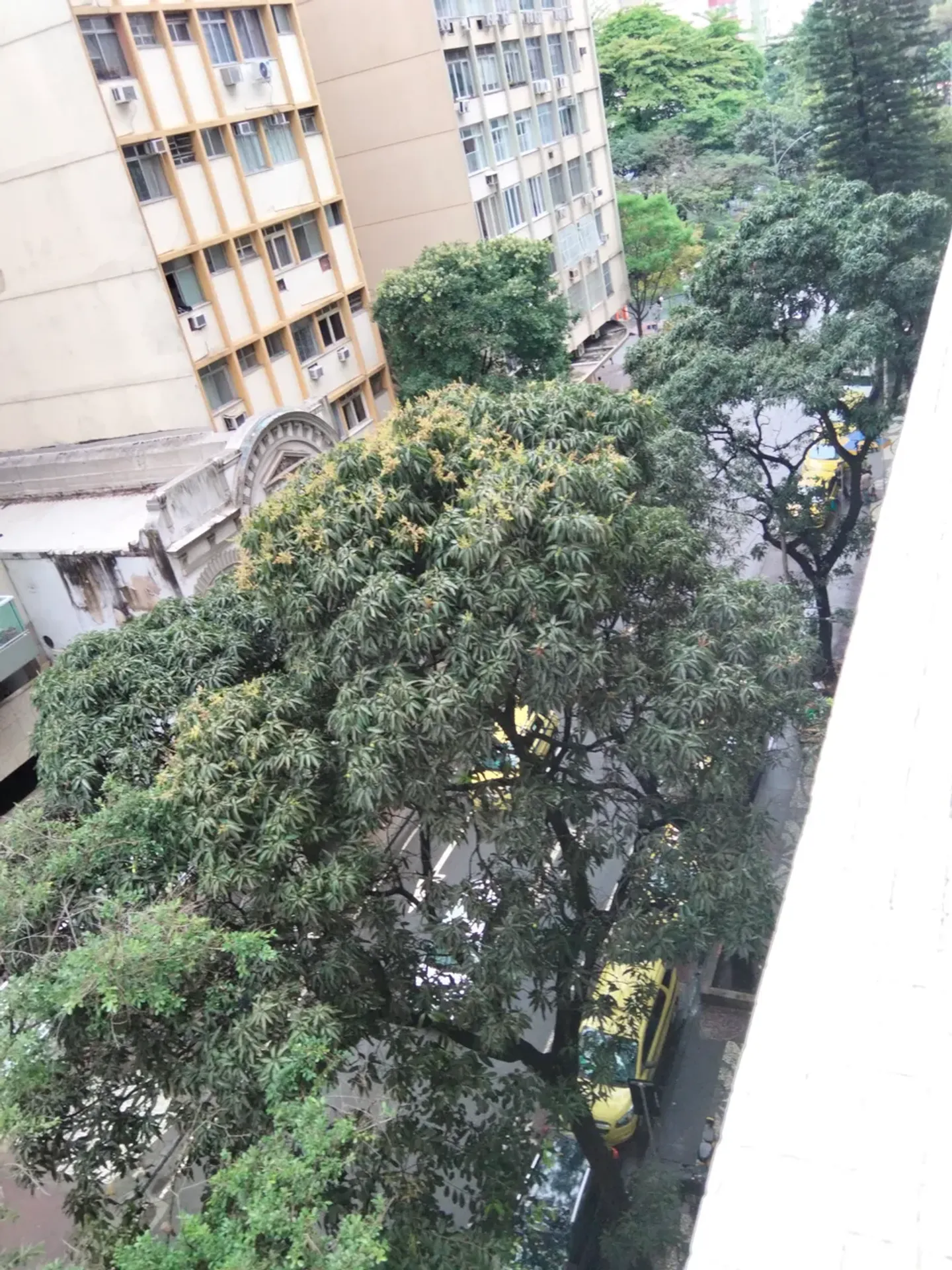 Apartamento, 42 m², com piso de madeira ou laminado — photo 11