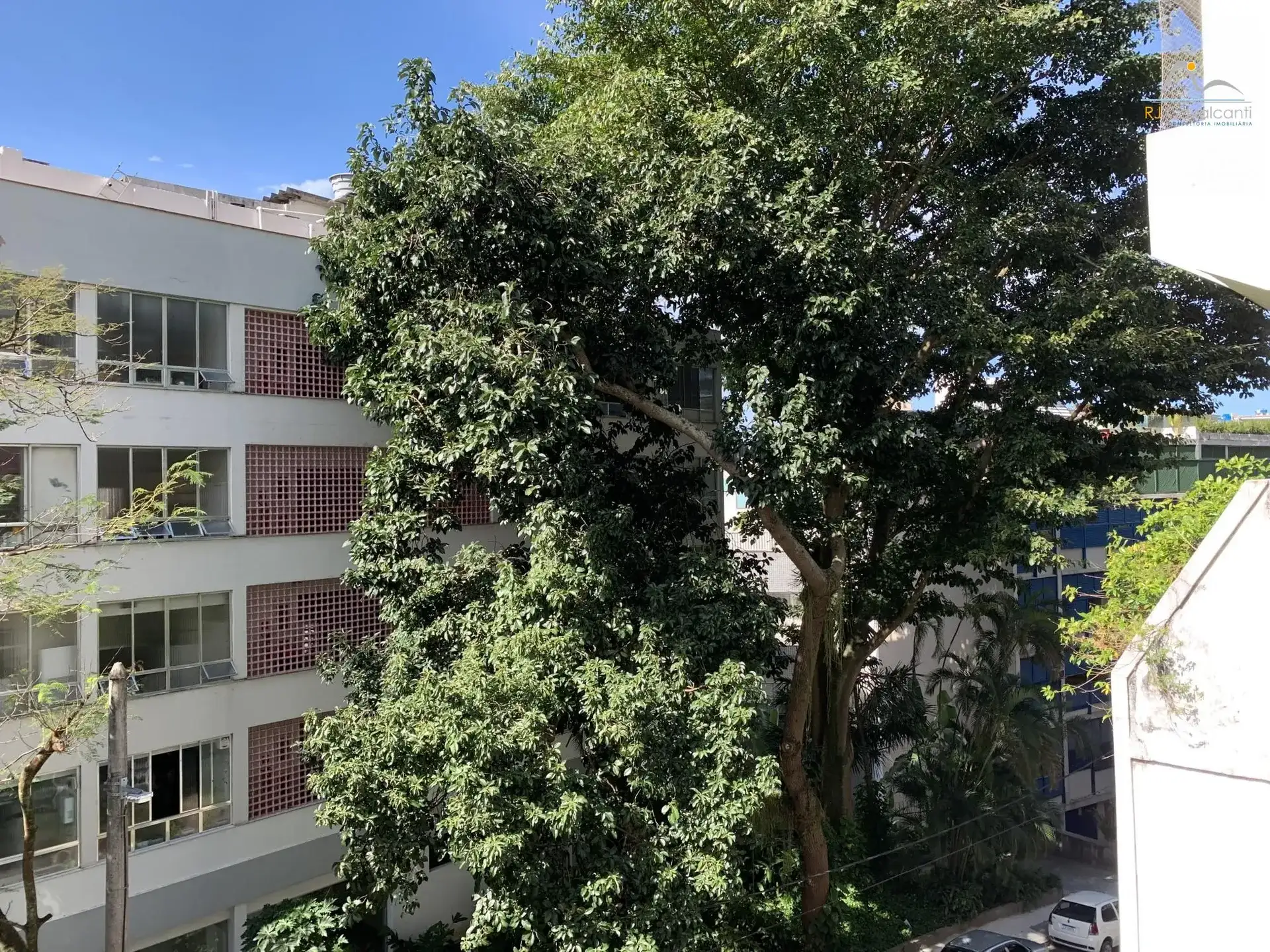 Квартира 155 м² з 3 спальнями та 3 ванними — photo 10