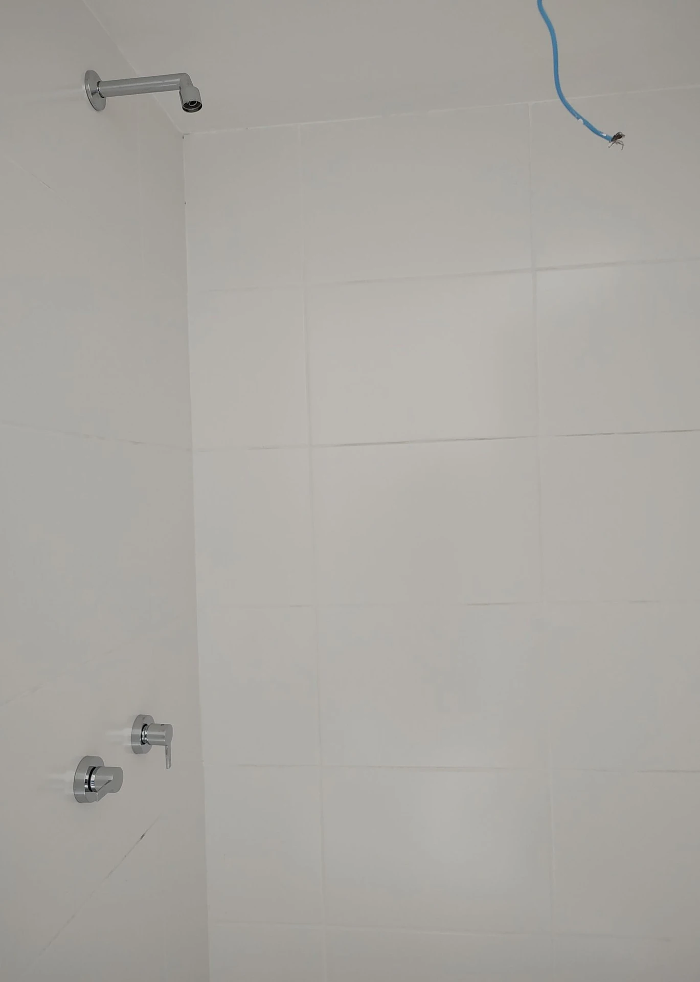 Apartamento de 2 quartos com suíte e 1 vaga — photo 23