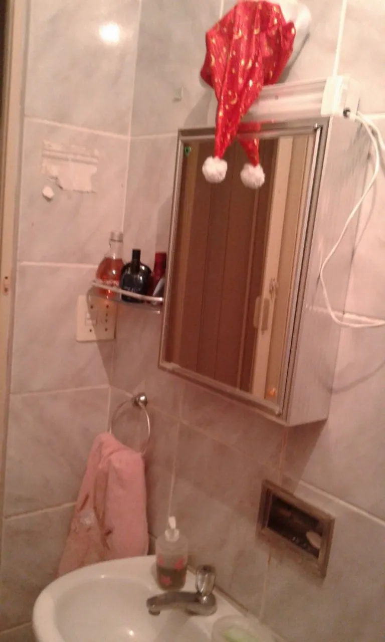 Furnished one-bedroom, 60 m² apartment in Rio de Janeiro — photo 9