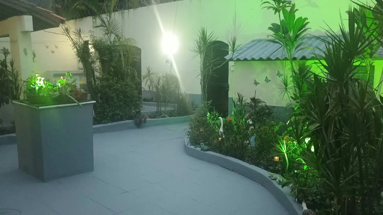 Casa de 5 quartos e 540 m² — photo 2