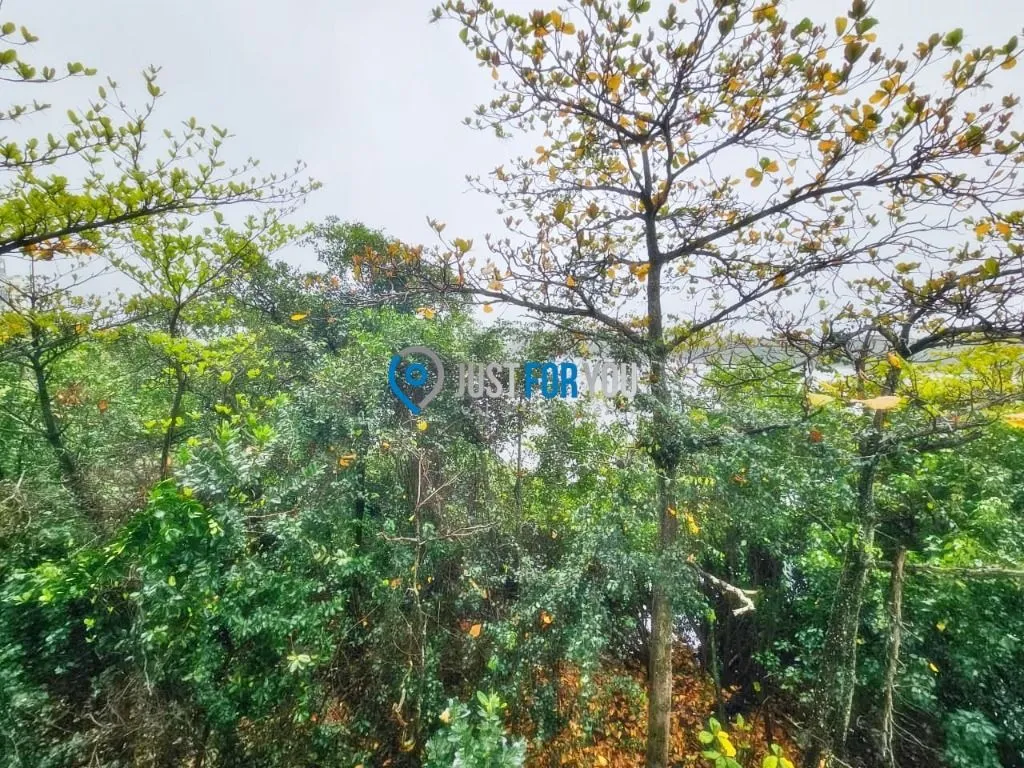 Apartamento com 3 dormitórios e varanda fechada de vidro — photo 6