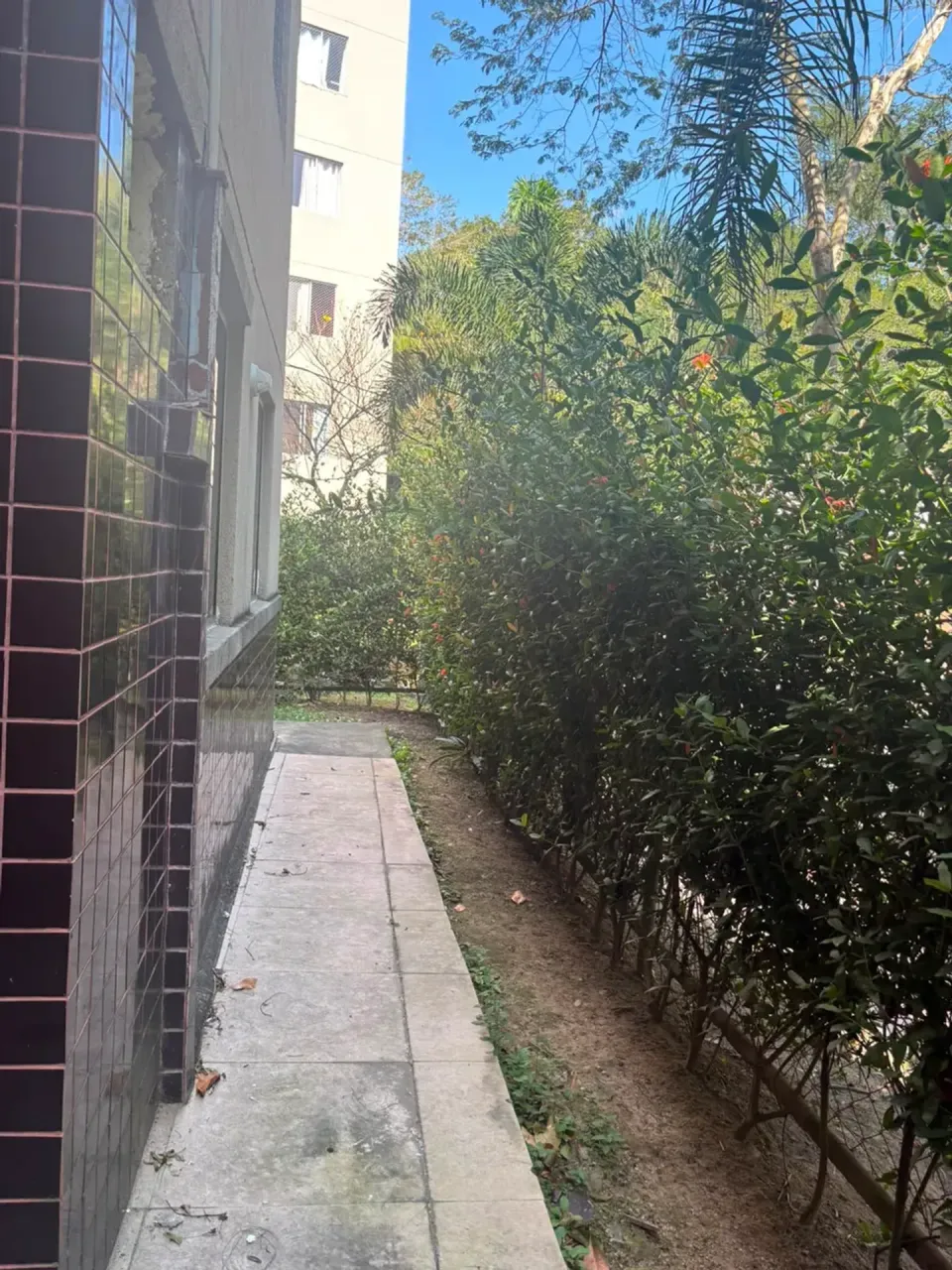 Apartamento garden com 2 quartos e 1 banheiro — photo 6