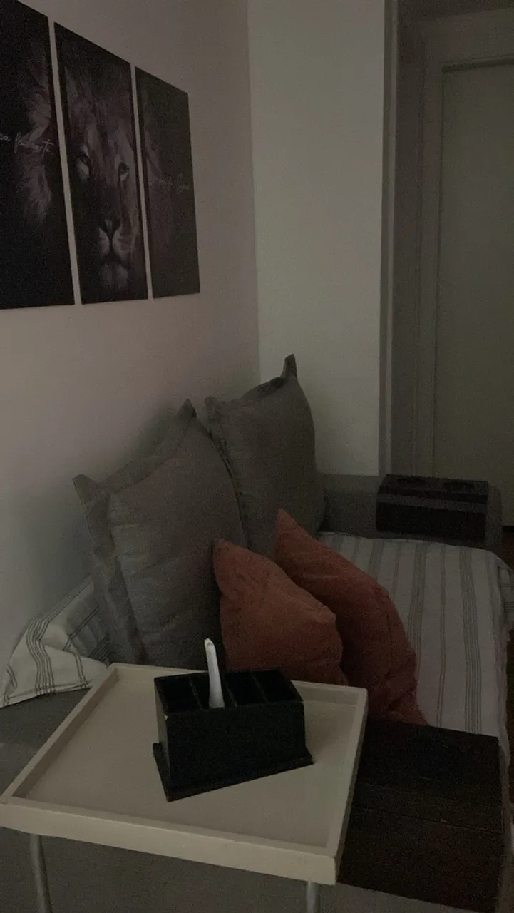 2-bedroom apartment with a washing machine in Rio de Janeiro — photo 6