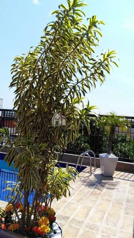 House, 482 m², with a bathtub — photo 20
