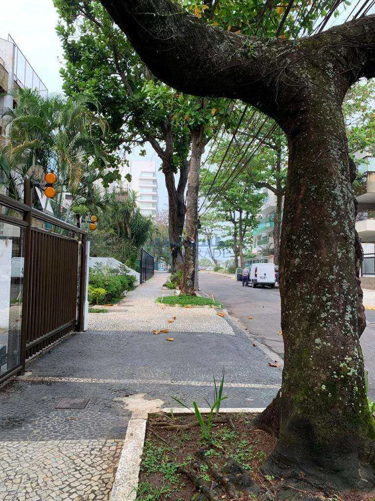 Apartamento com máquina de lavar, Barra da Tijuca — photo 20