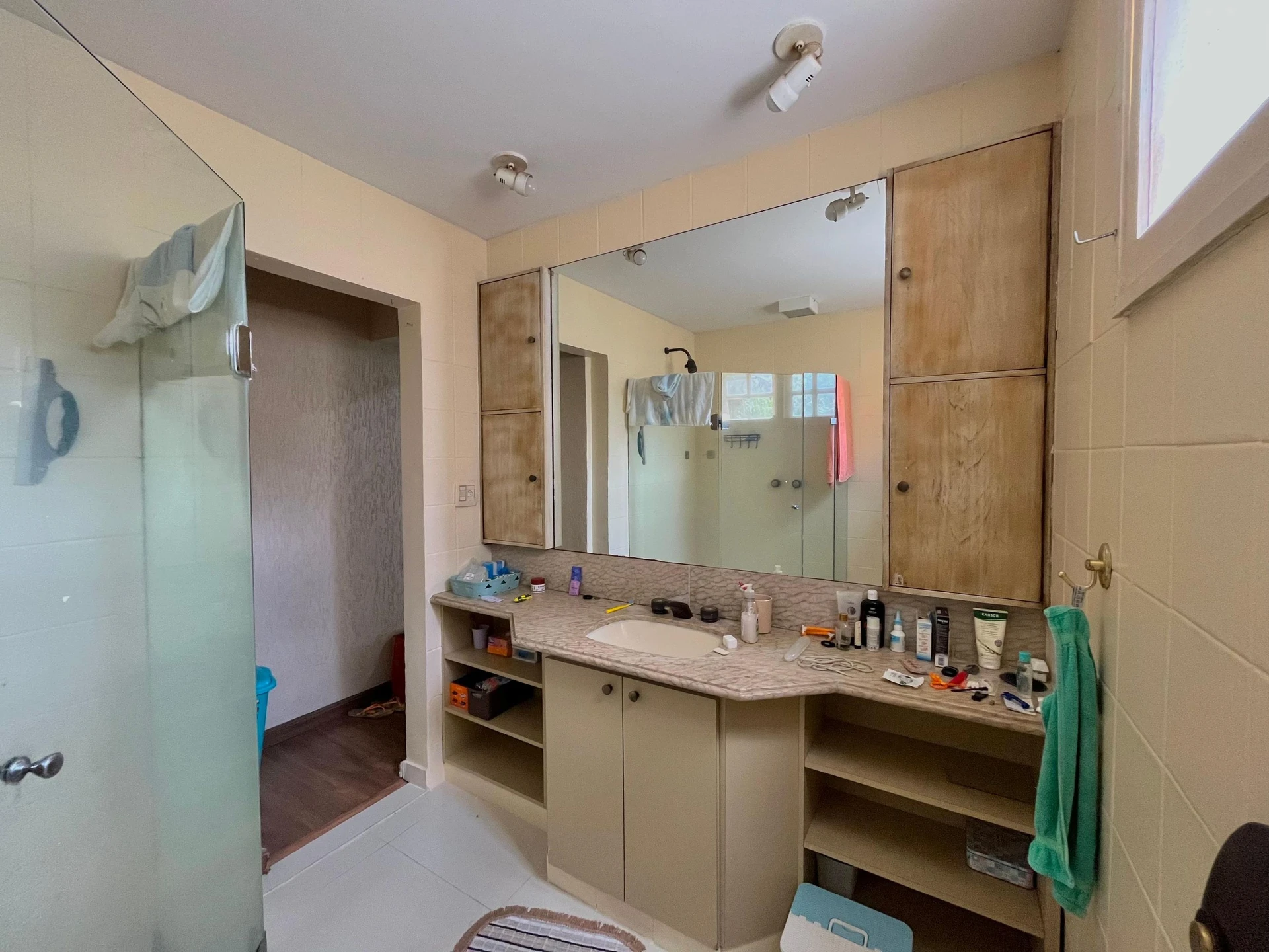 Ванна та 4 спальні: будинок 350 м² — photo 50