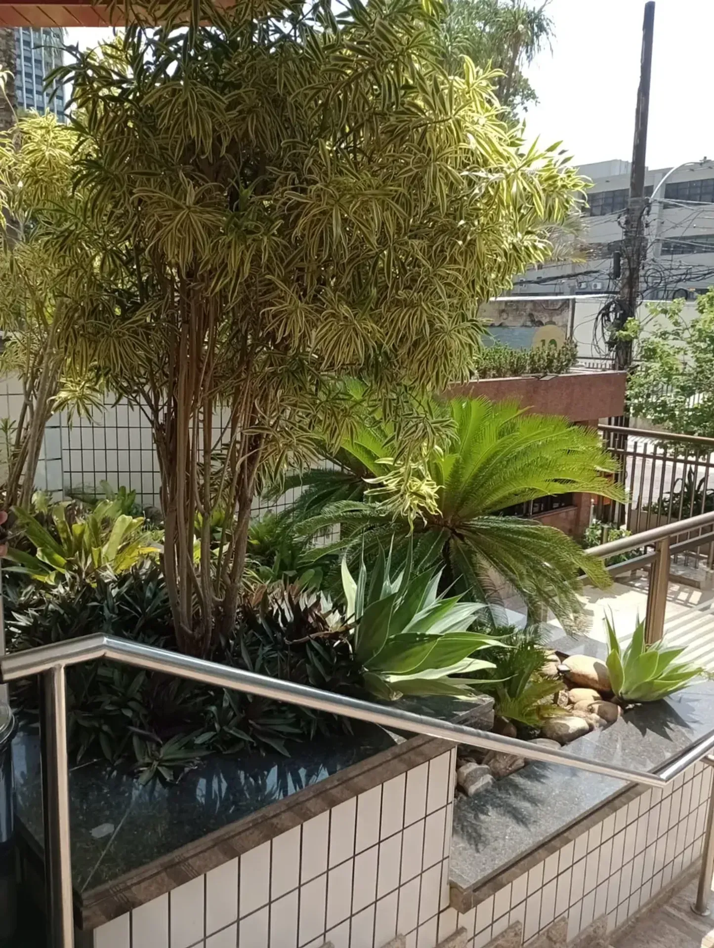 3-bedroom apartment with pets allowed — photo 13