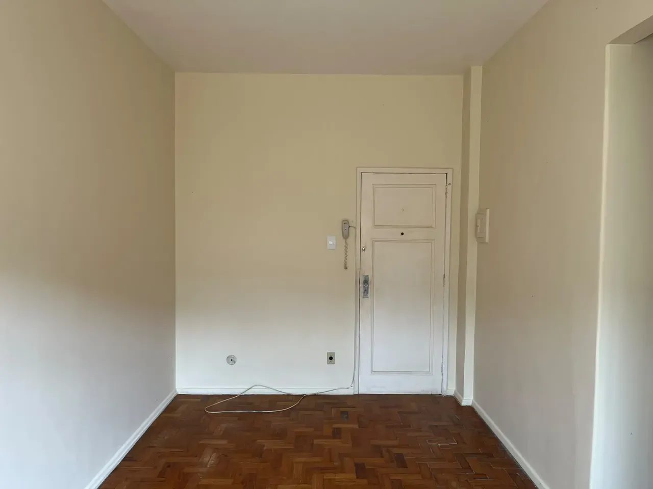 One-bedroom apartment with wood or laminate floors — photo 10