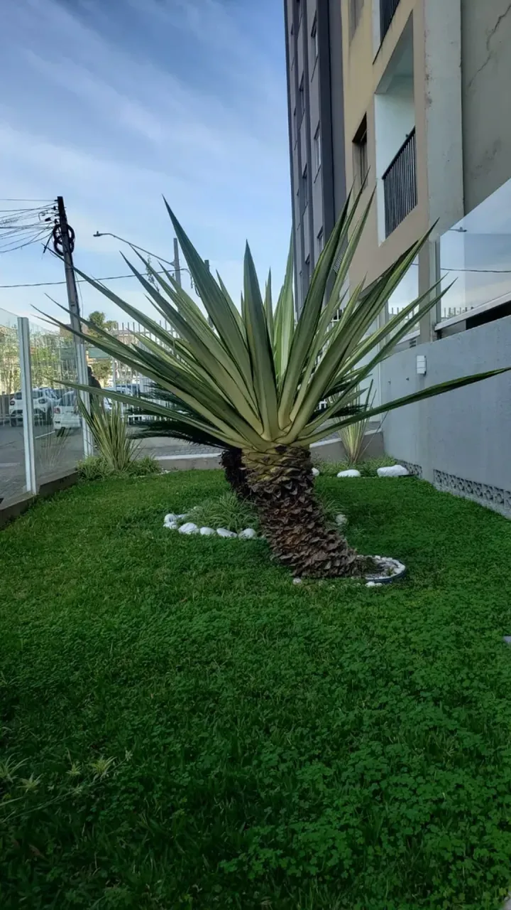 Apartamento com 2 quartos e box de vidro no banheiro — photo 8