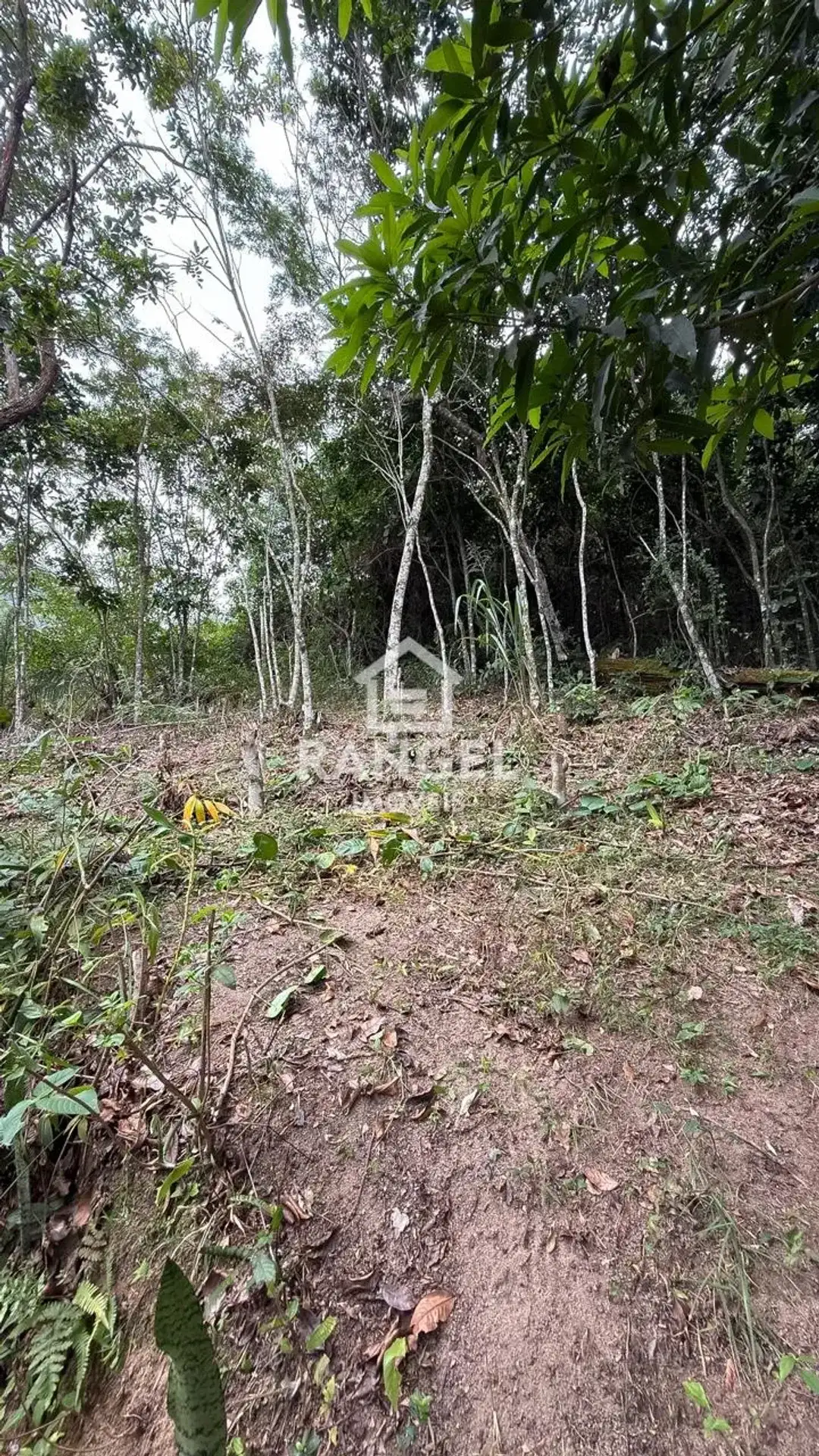 House with a balcony and private garden, 2500 m² — photo 24
