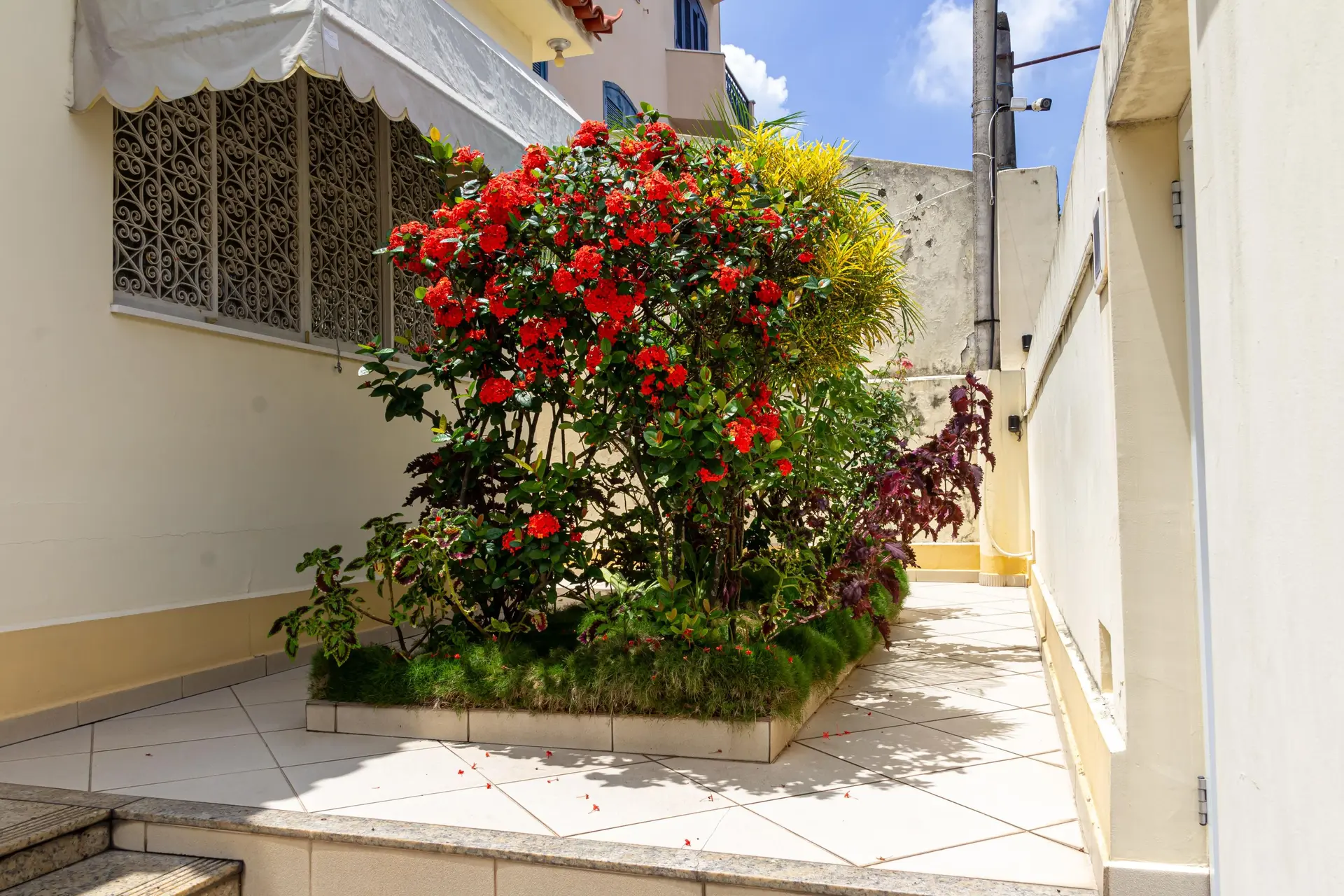 Casa com 3 quartos, 3 banheiros e jardim privativo — photo 122