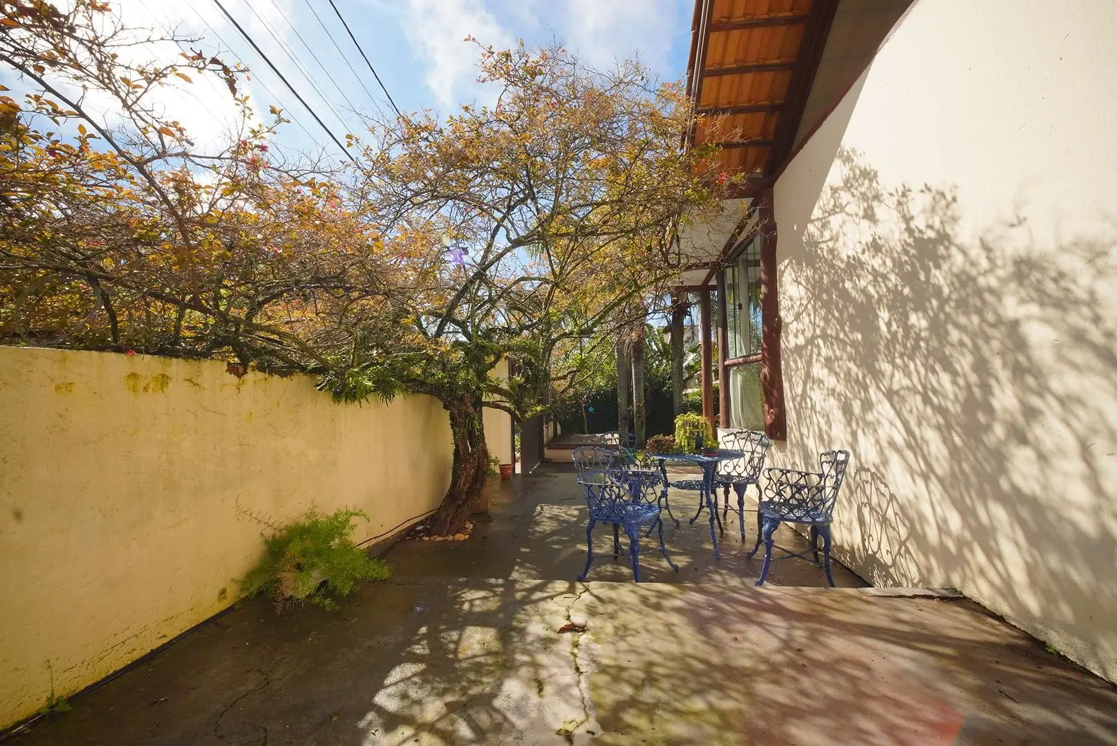 Garden in a 3-bedroom house, 225 m² — photo 29