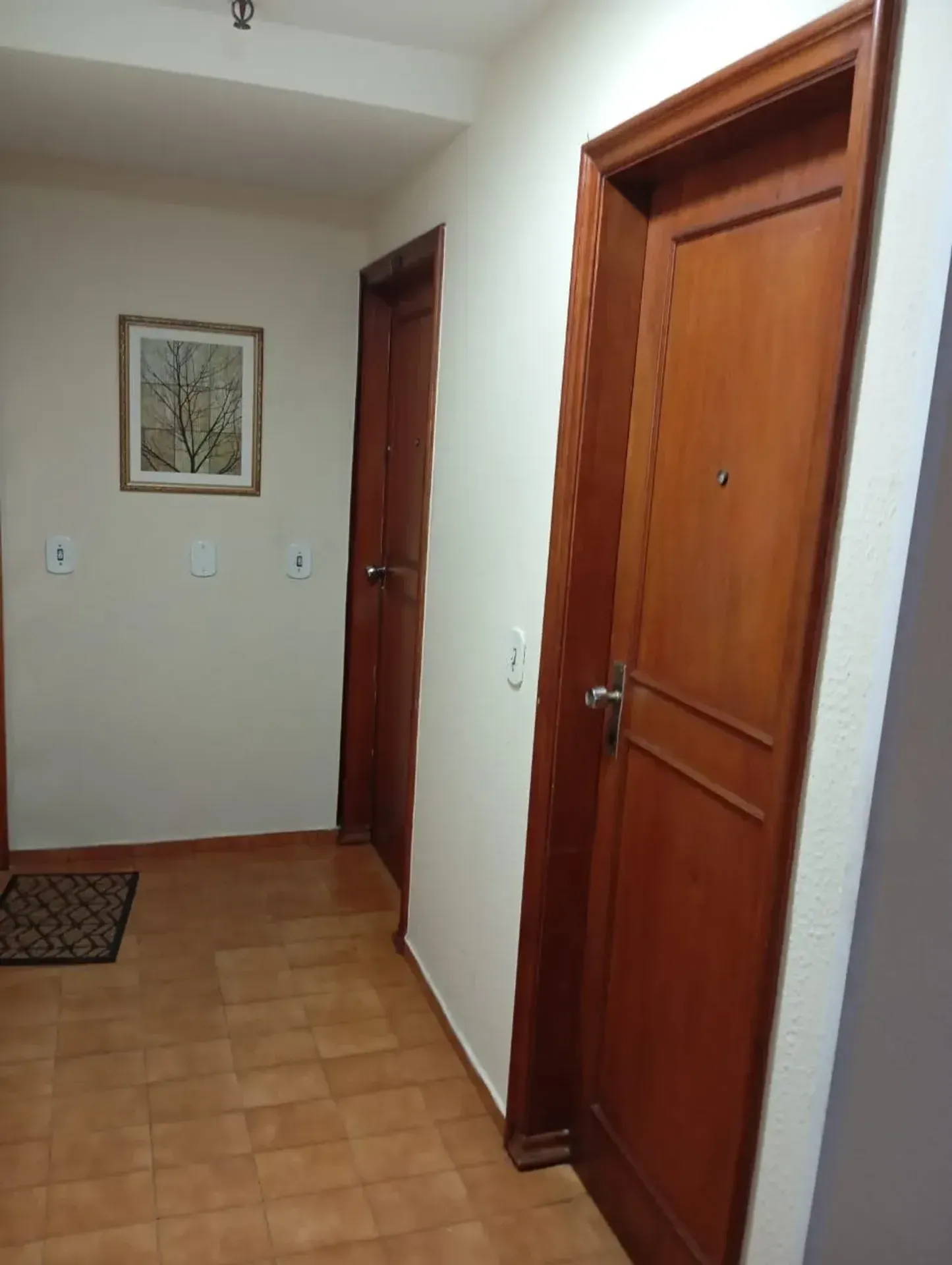 3-bedroom apartment with 2 bathrooms and no parking — photo 21