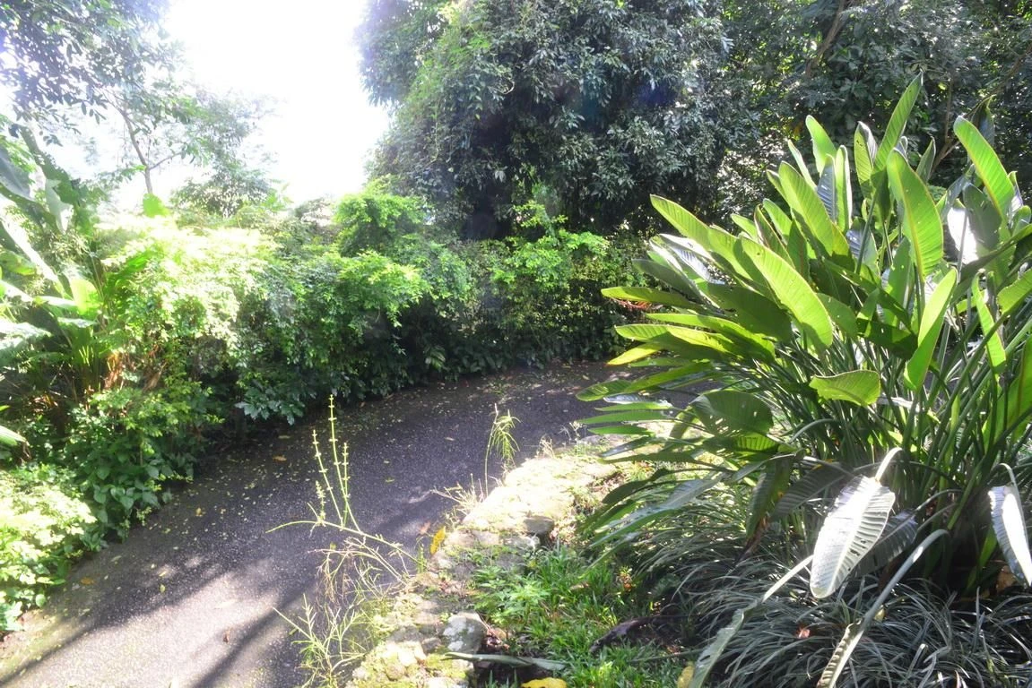 Casa mobiliada com 6 quartos e 5 suítes, com jardim — photo 74