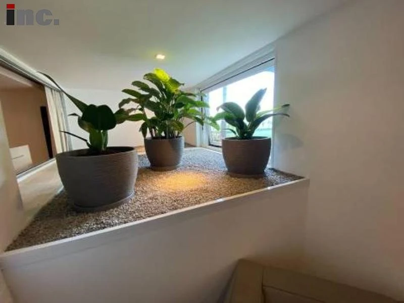 Casa mobiliada 900 m² com 5 suítes e 8 banheiros — photo 30