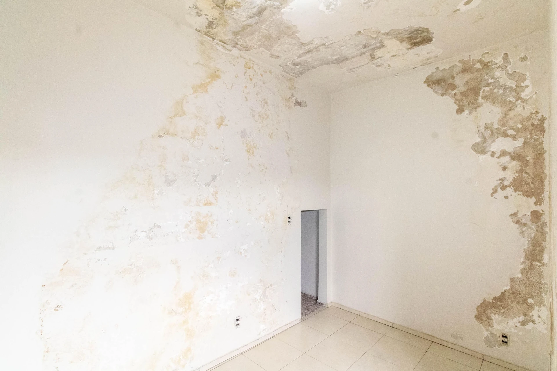Мебльований будинок з 3 спальнями та 2 паркомісцями — photo 47