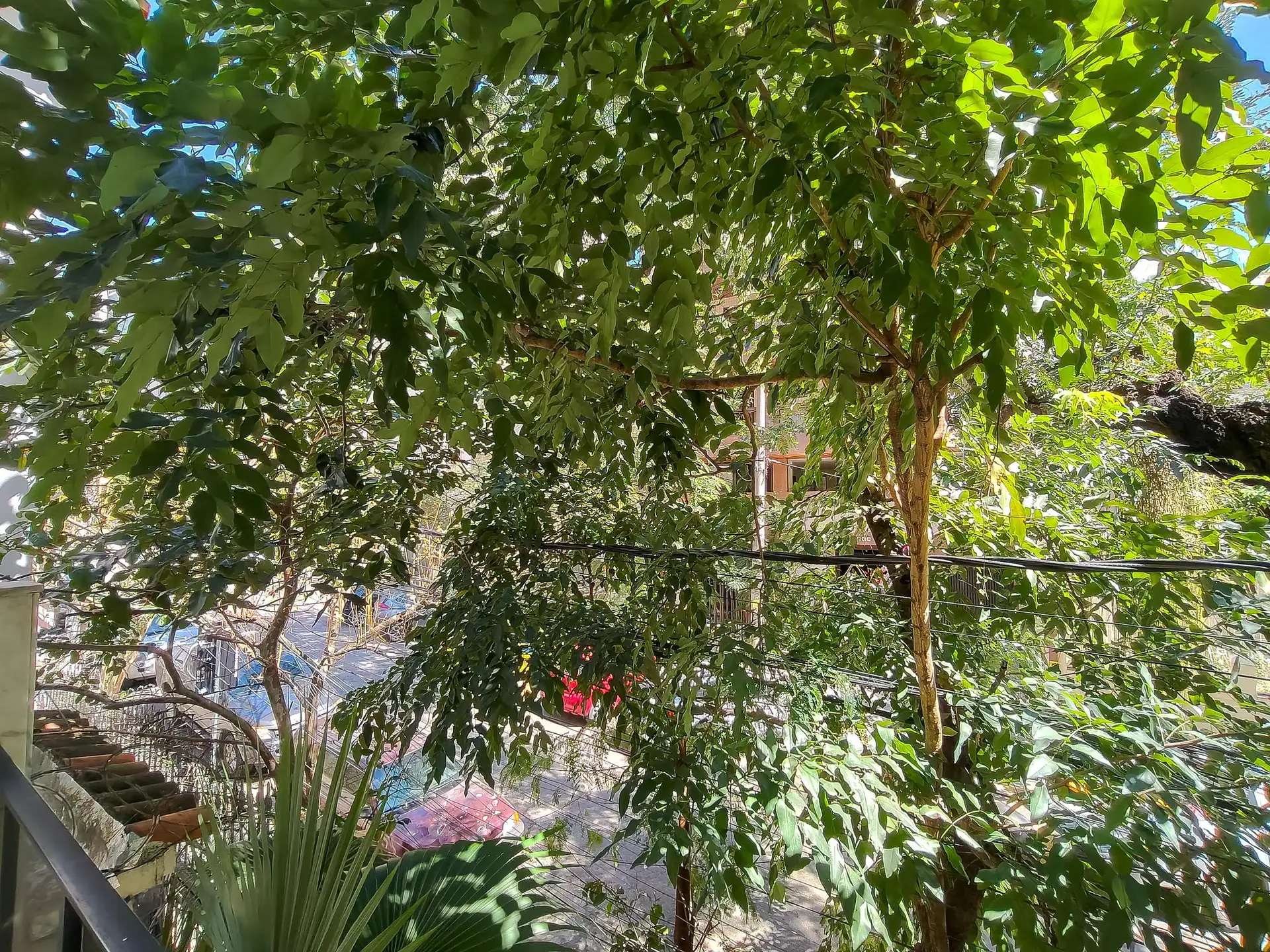 House for rent with 5 bedrooms and 8 bathrooms — photo 24