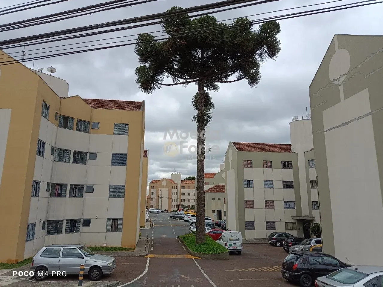 3-bedroom apartment with wood or laminate floors in Curitiba — photo 24