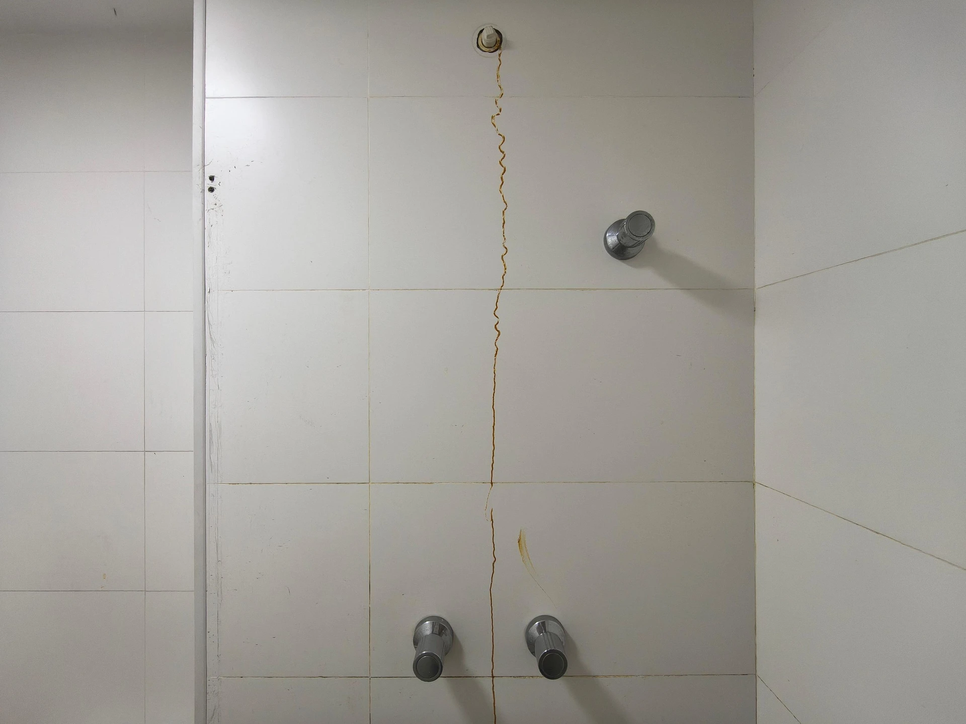 Квартира з 4 кімнатами та 1 люкс-спальнею, з балконом — photo 58