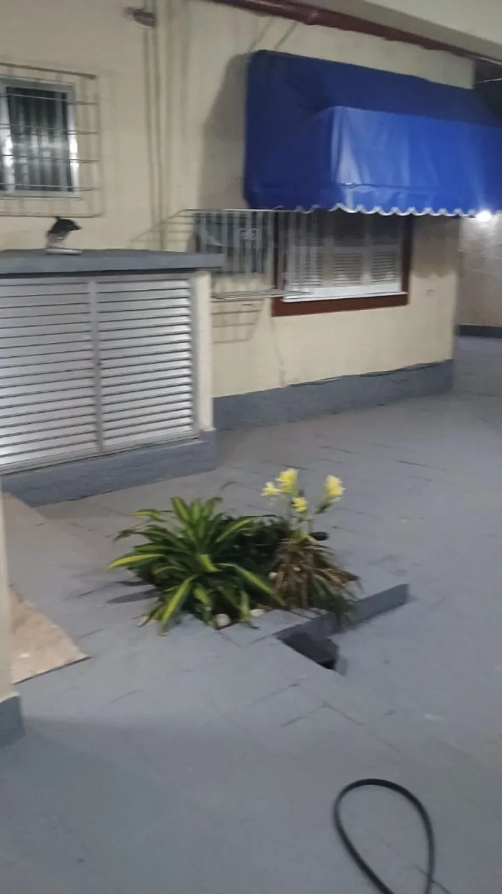 Casa de 545 m² e 5 quartos, Barra da Tijuca — photo 7