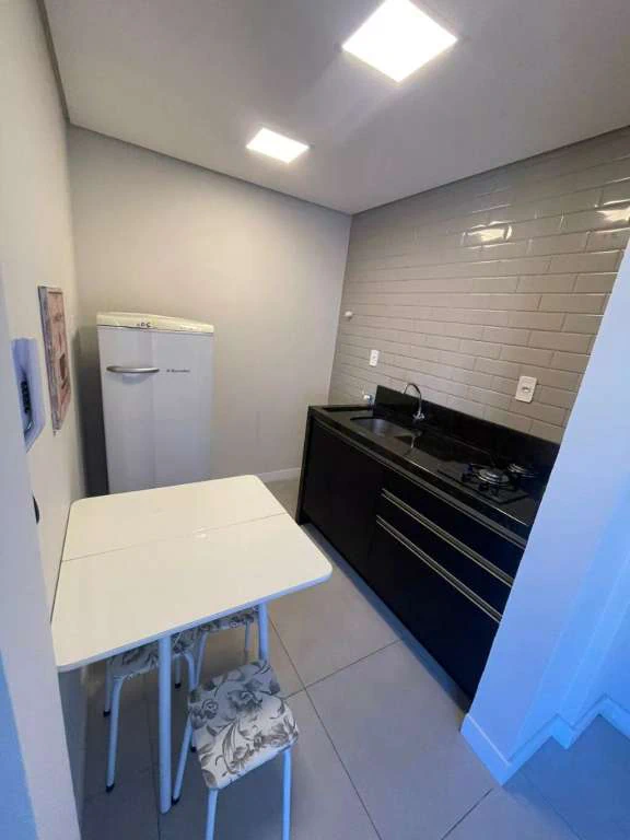 1-bedroom apartment with a compact gas kitchenette