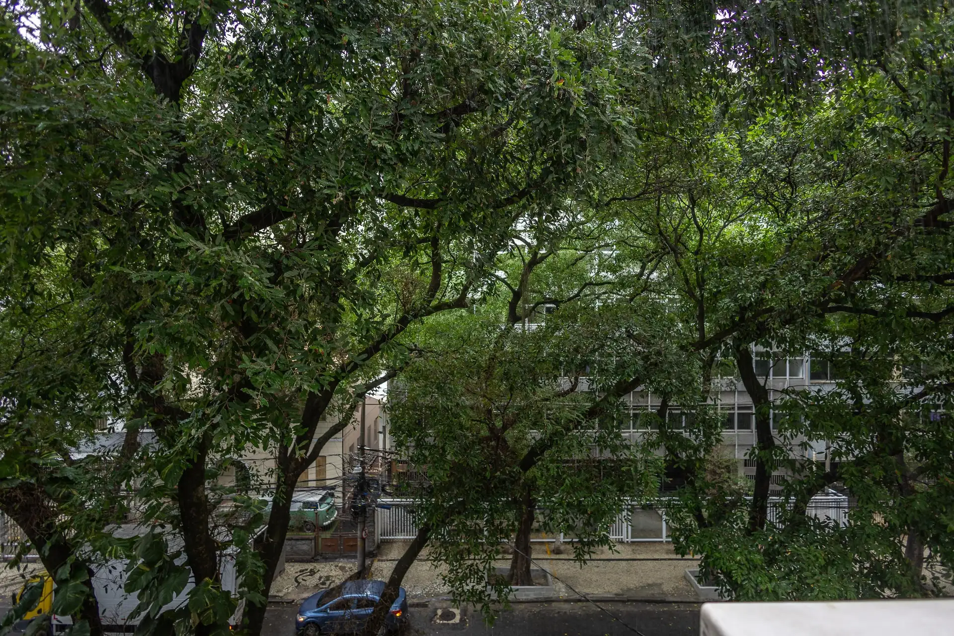 3-bedroom apartment with a park view — photo 11