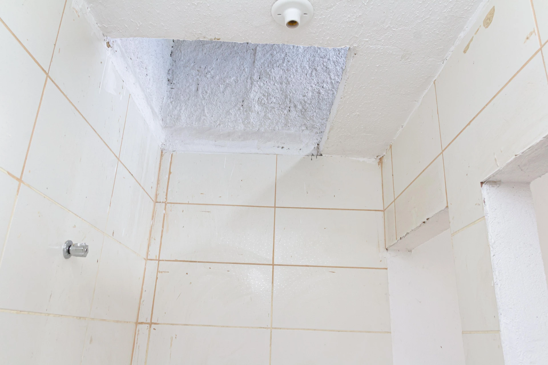 Studio unit with 1 bedroom, ensuite bathroom, private garden — photo 5