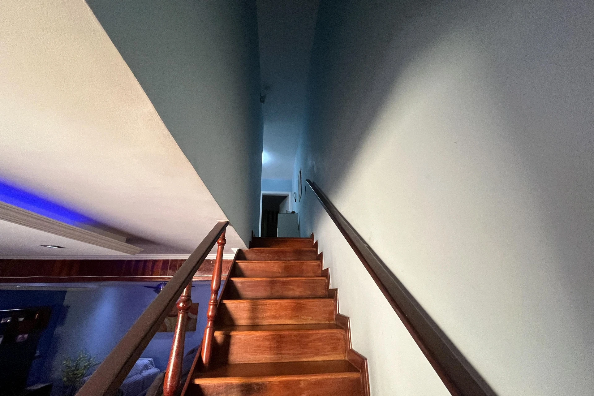 Casa mobiliada com 3 quartos e jardim privativo — photo 47
