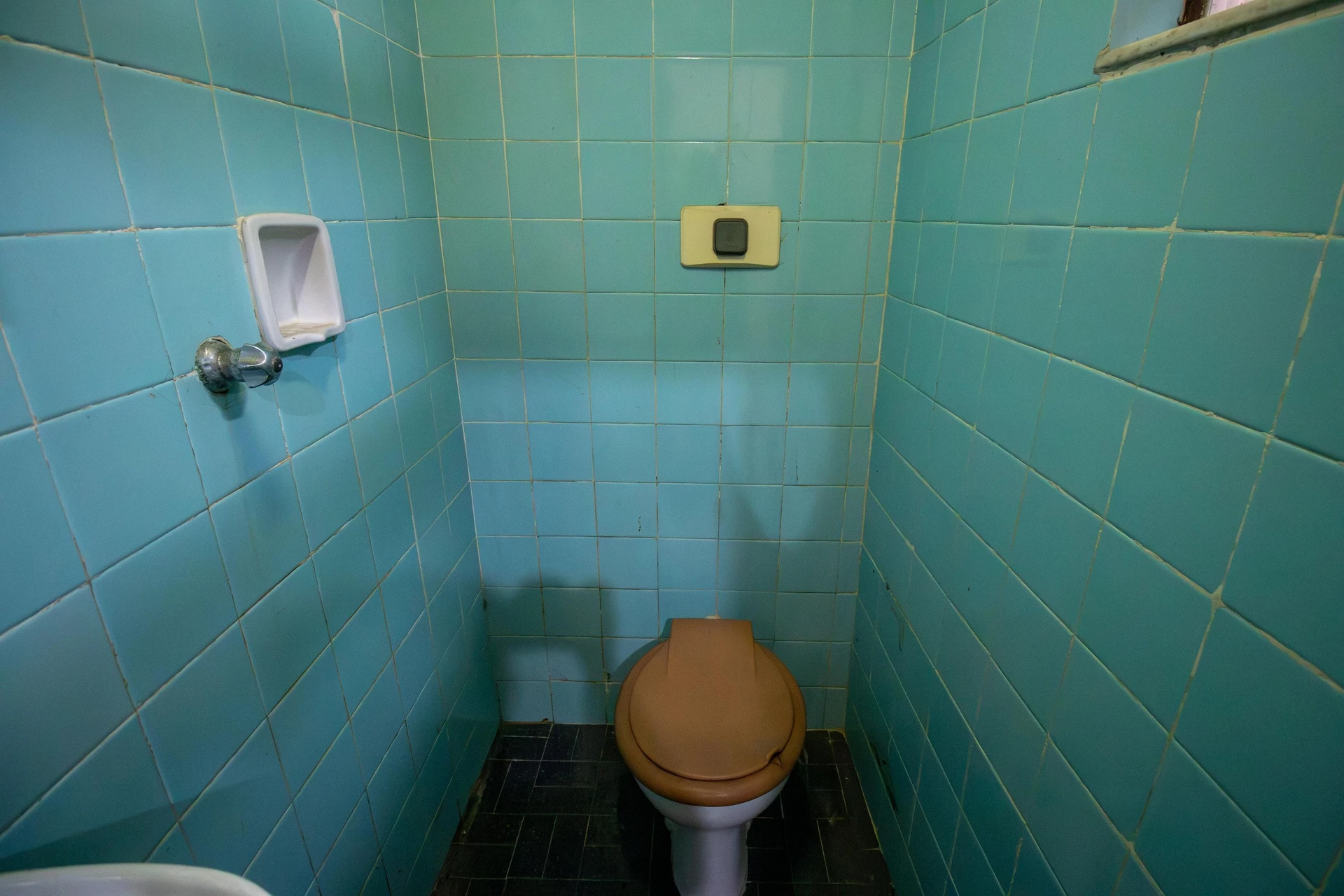 5-bedroom house with a garden in Rio de Janeiro — photo 19