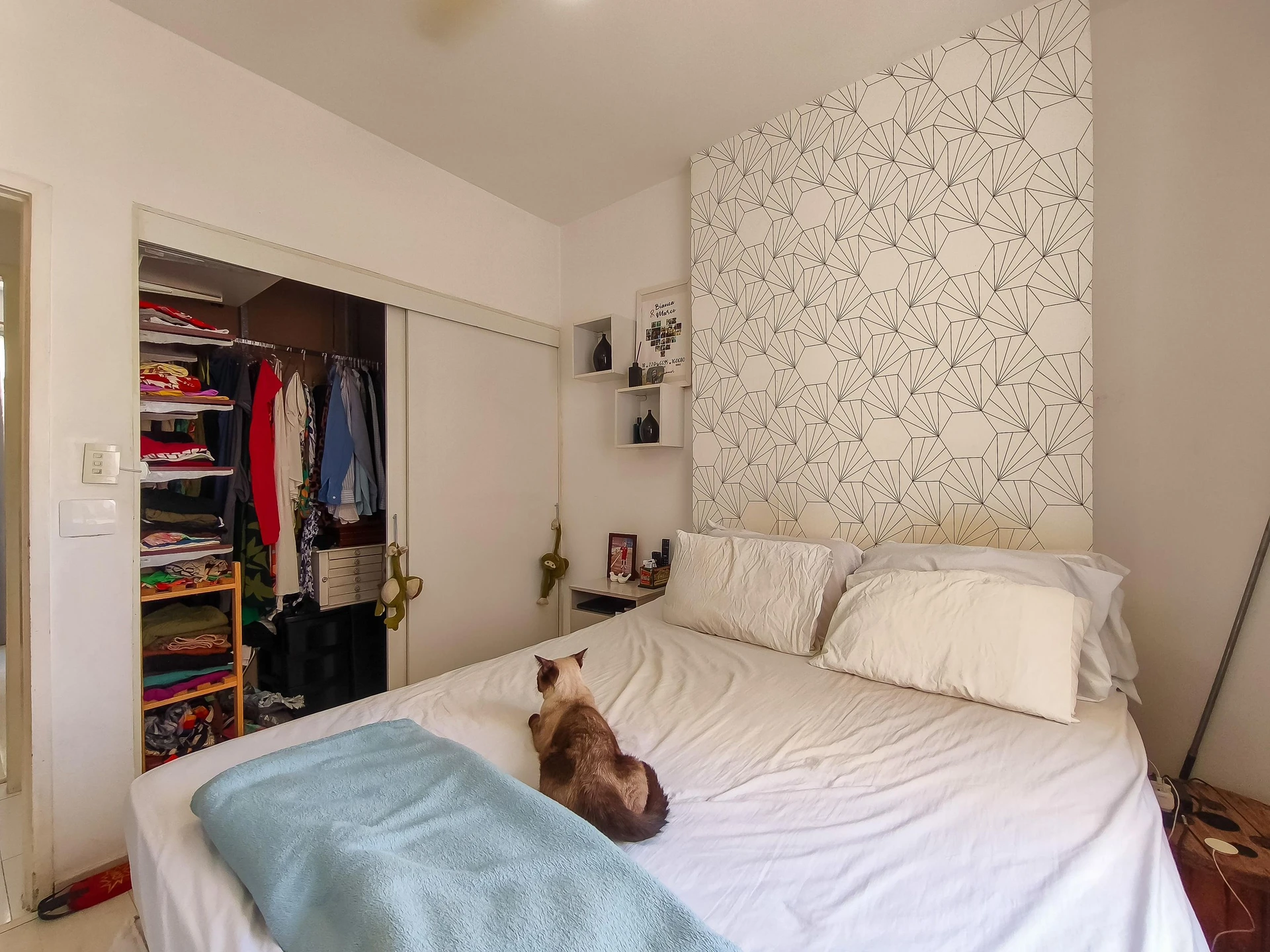 3-bedroom apartment with a walk-in closet — photo 15