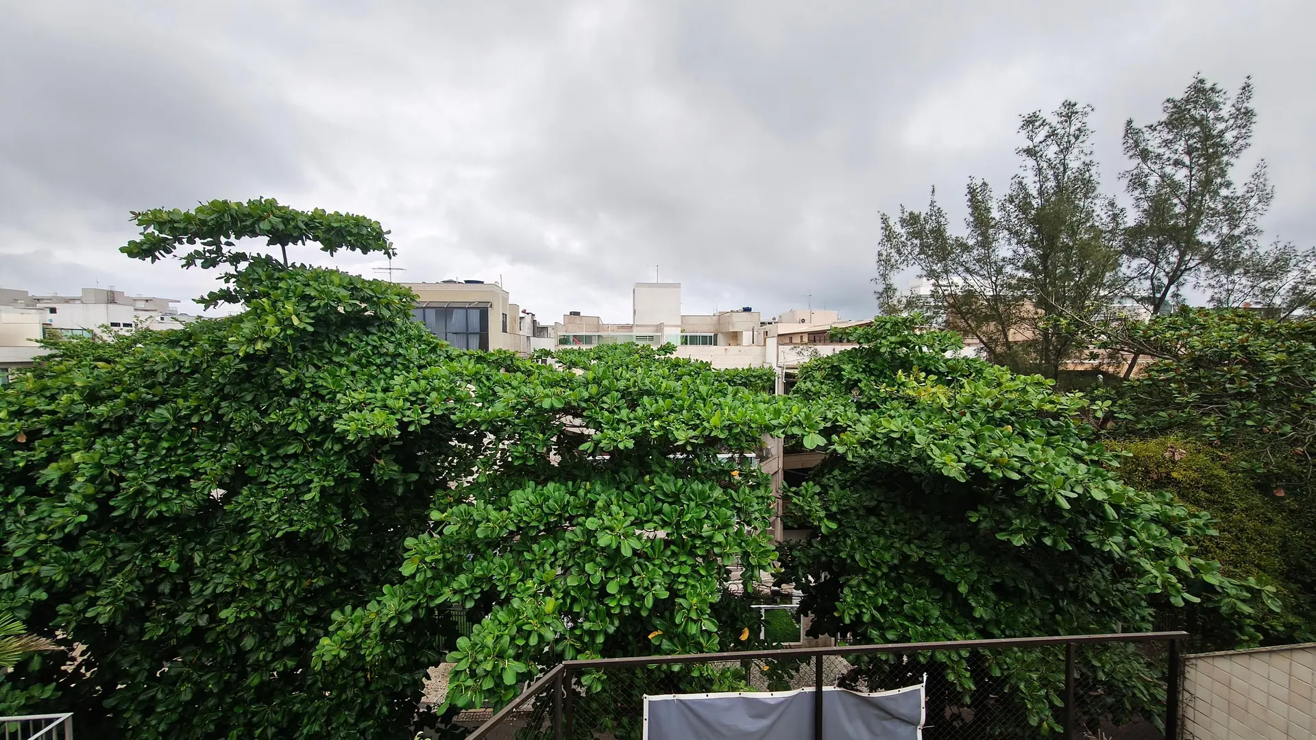 5-bedroom apartment with a washing machine in Rio de Janeiro — photo 56
