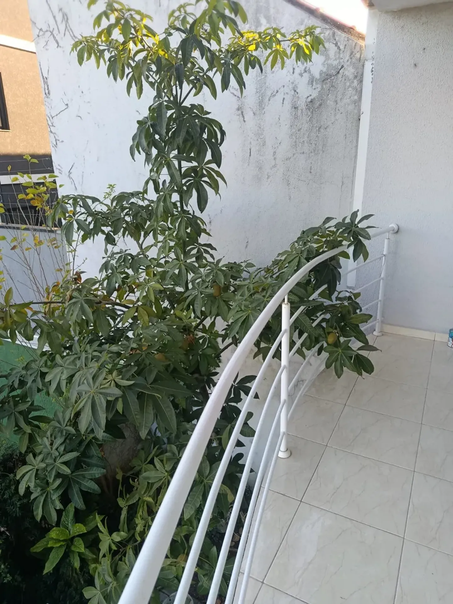 House for rent with 3 bedrooms and 3 bathrooms — photo 21