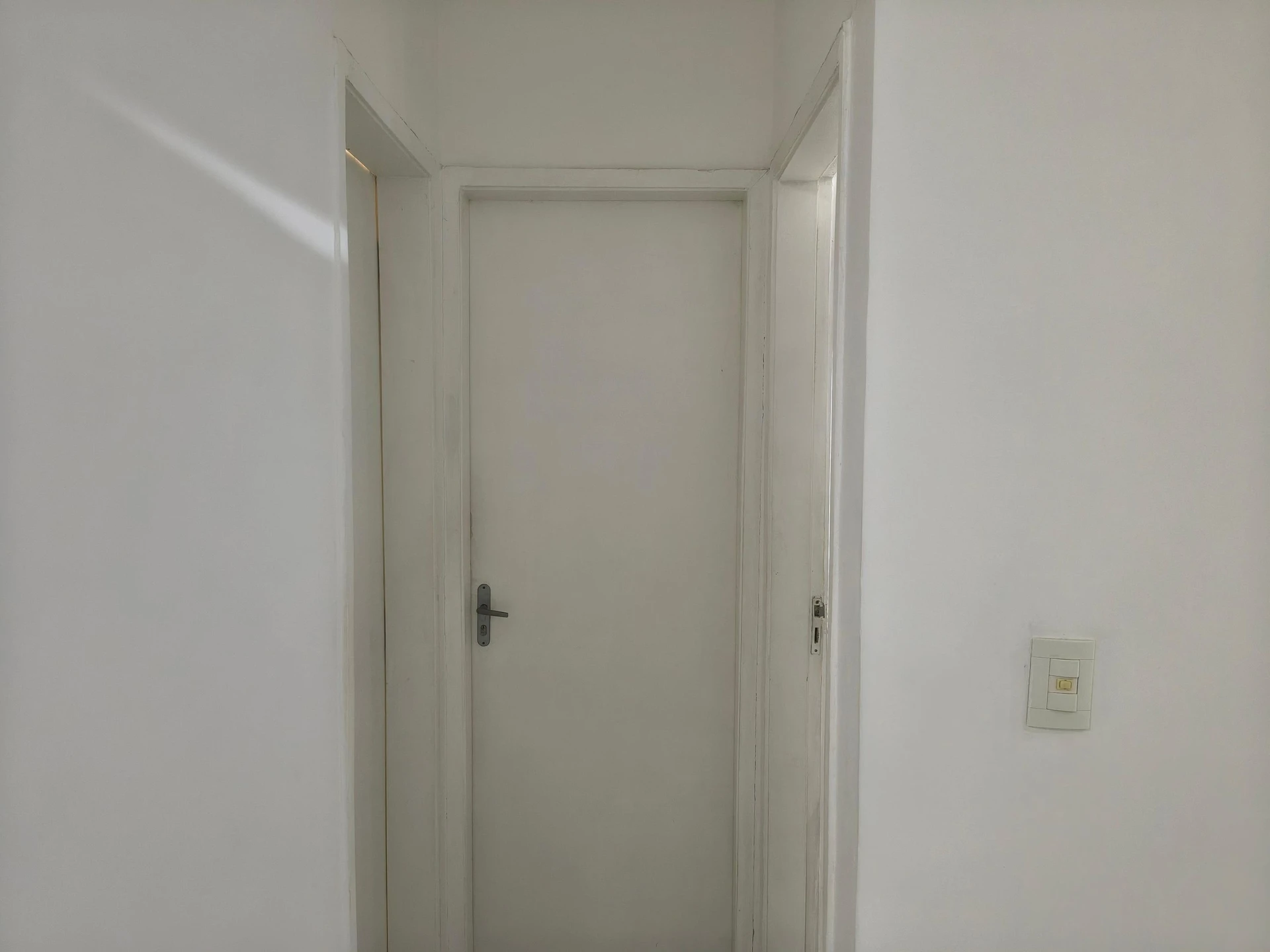 3-bedroom apartment with a park view — photo 40