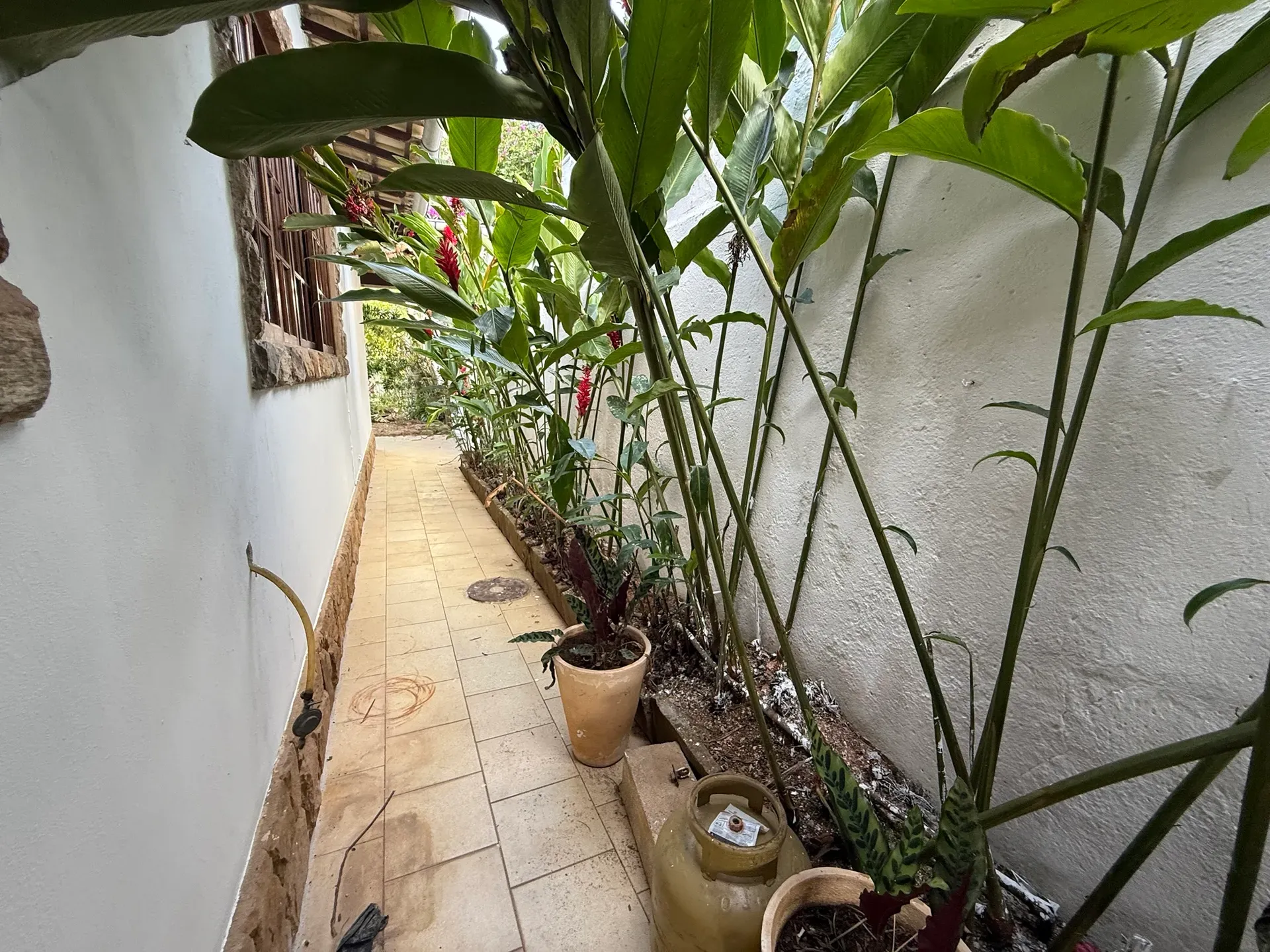Furnished house, 350 m², with a glass-enclosed balcony — photo 5
