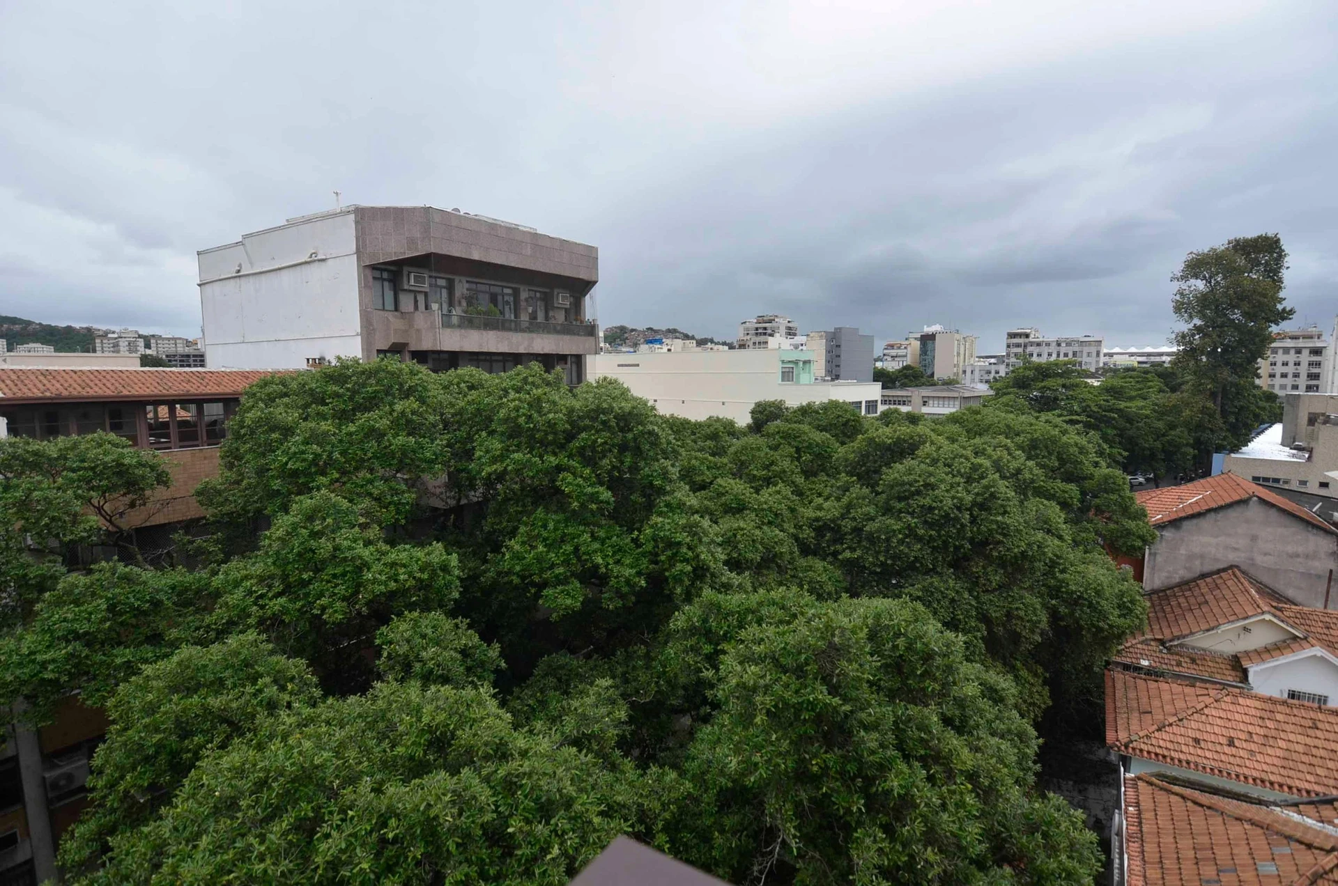 3-bedroom apartment with a mountain view in Rio de Janeiro — photo 3