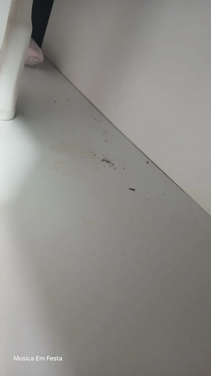 Apartamento de 2 quartos em condomínio com academia — photo 11