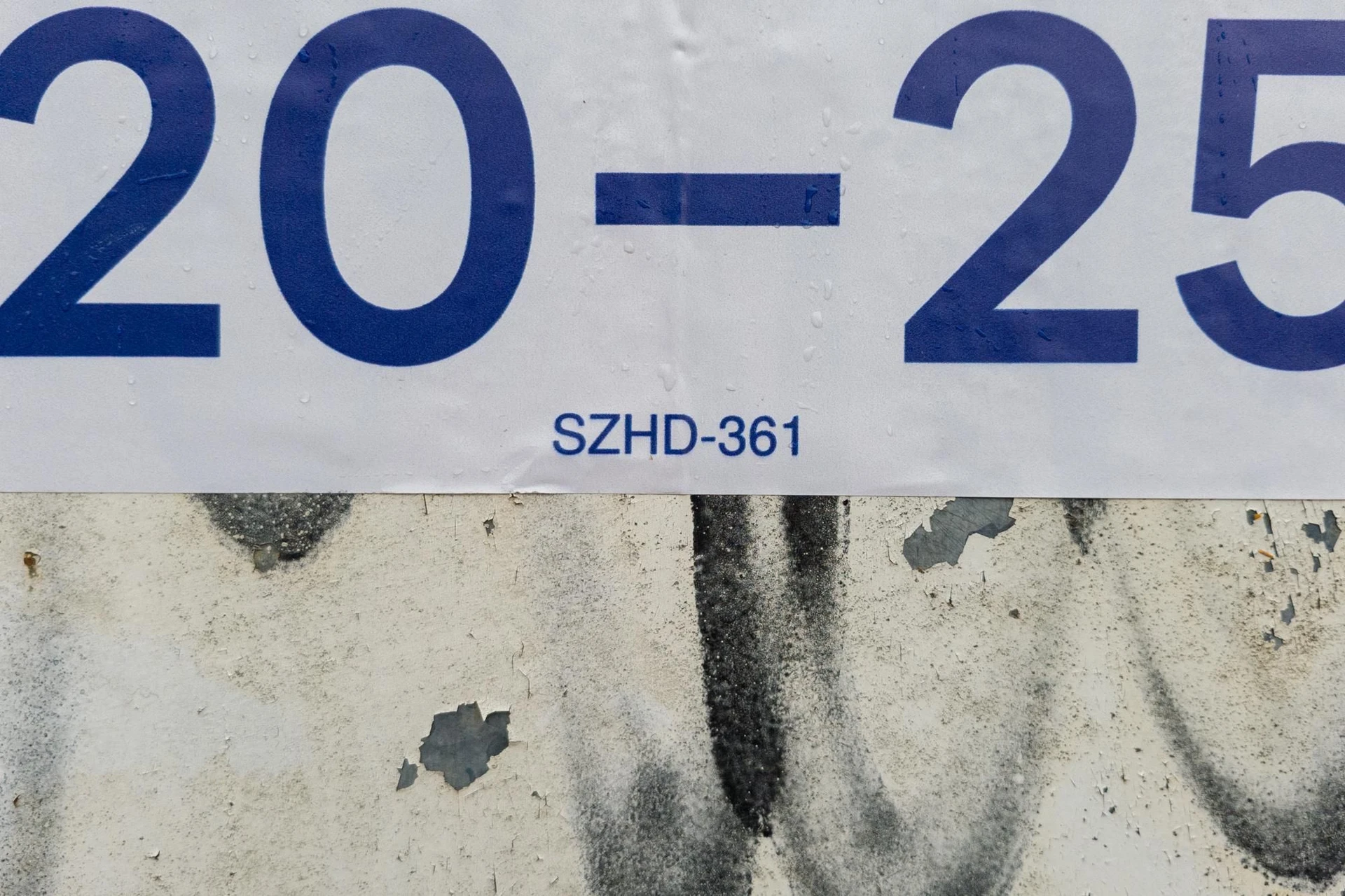 6 quartos e jardim: casa de 263 m² — photo 65