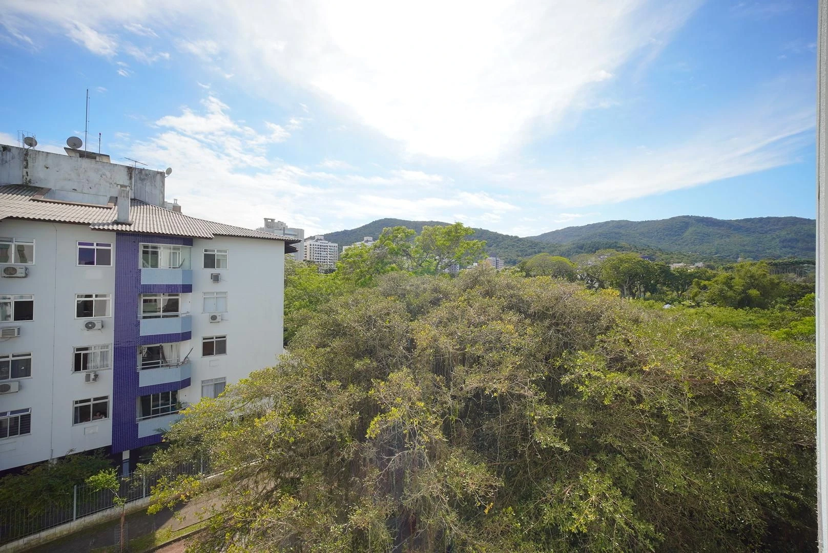 Park view in a 2-bedroom apartment, 52 m² — photo 23