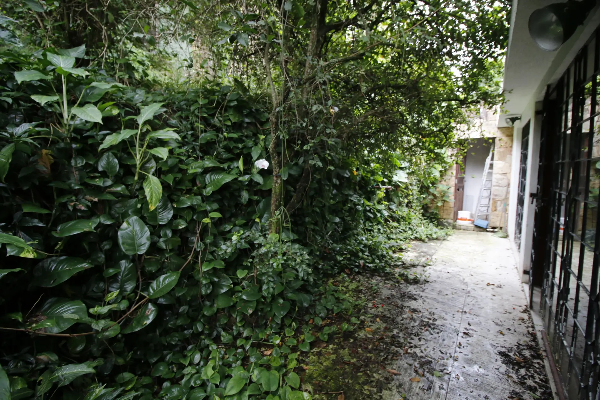Mountain view in a 3-bedroom house, 460 m² — photo 21