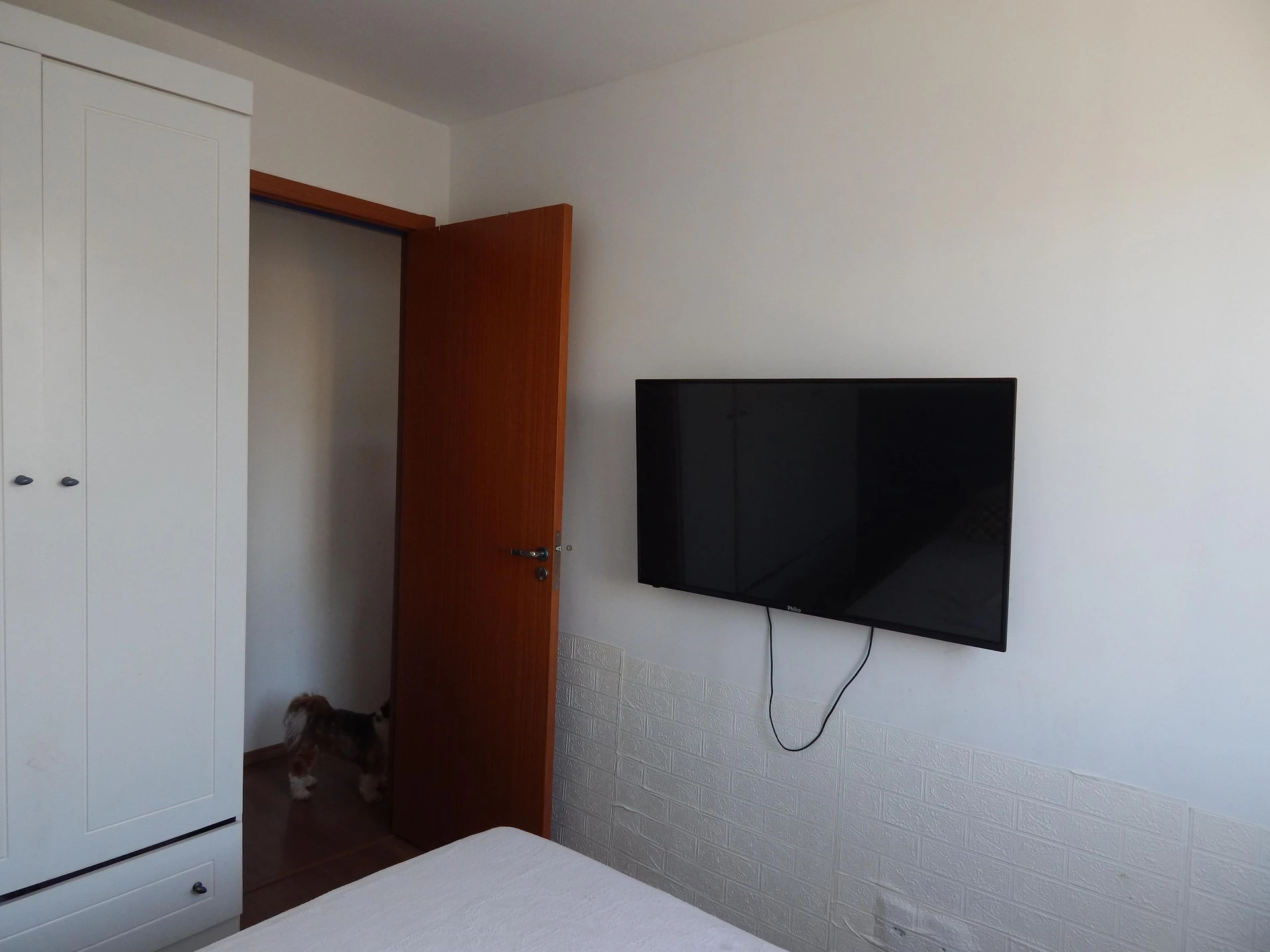 Furnished apartment, 41 m², with a washing machine — photo 2