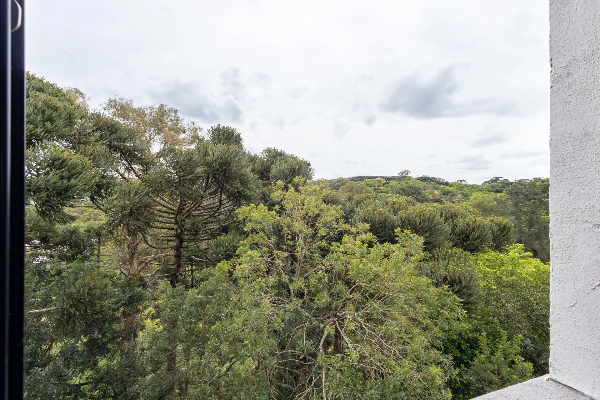2-bedroom apartment with a glass-enclosed balcony — photo 10