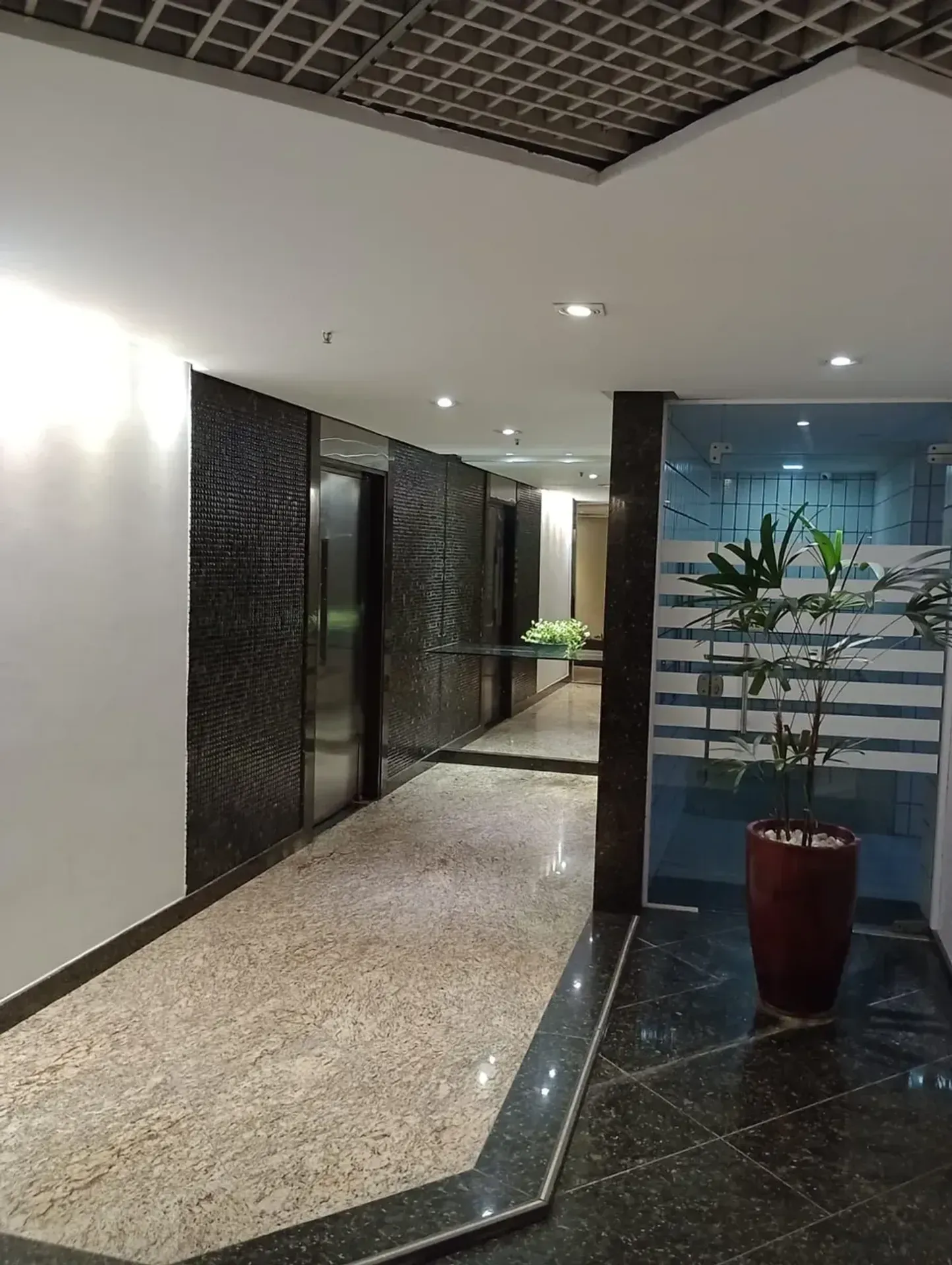 3-bedroom apartment with pets allowed — photo 4