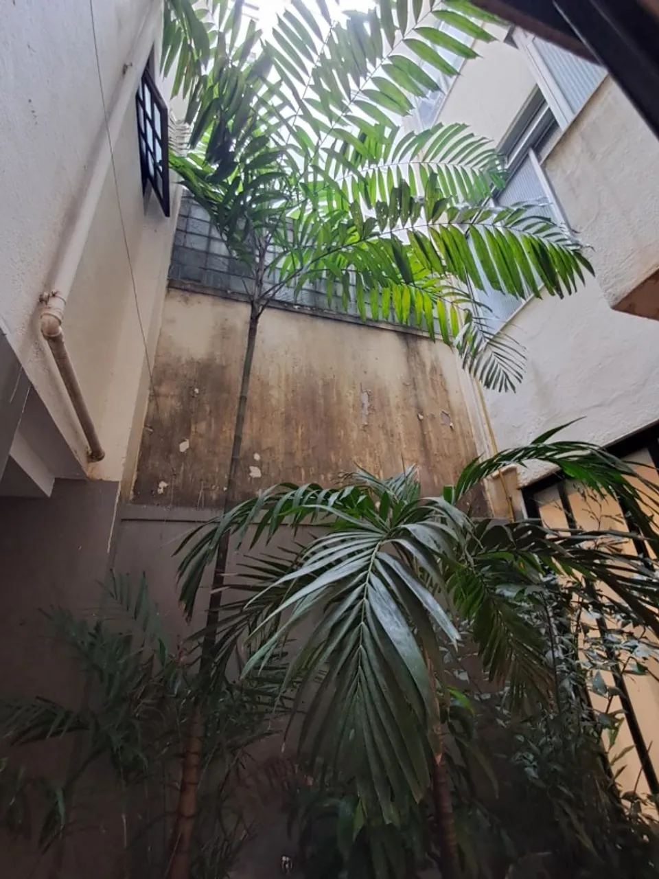 Деревянный пол или ламинат и 3 спальни: квартира 144 м² — photo 15