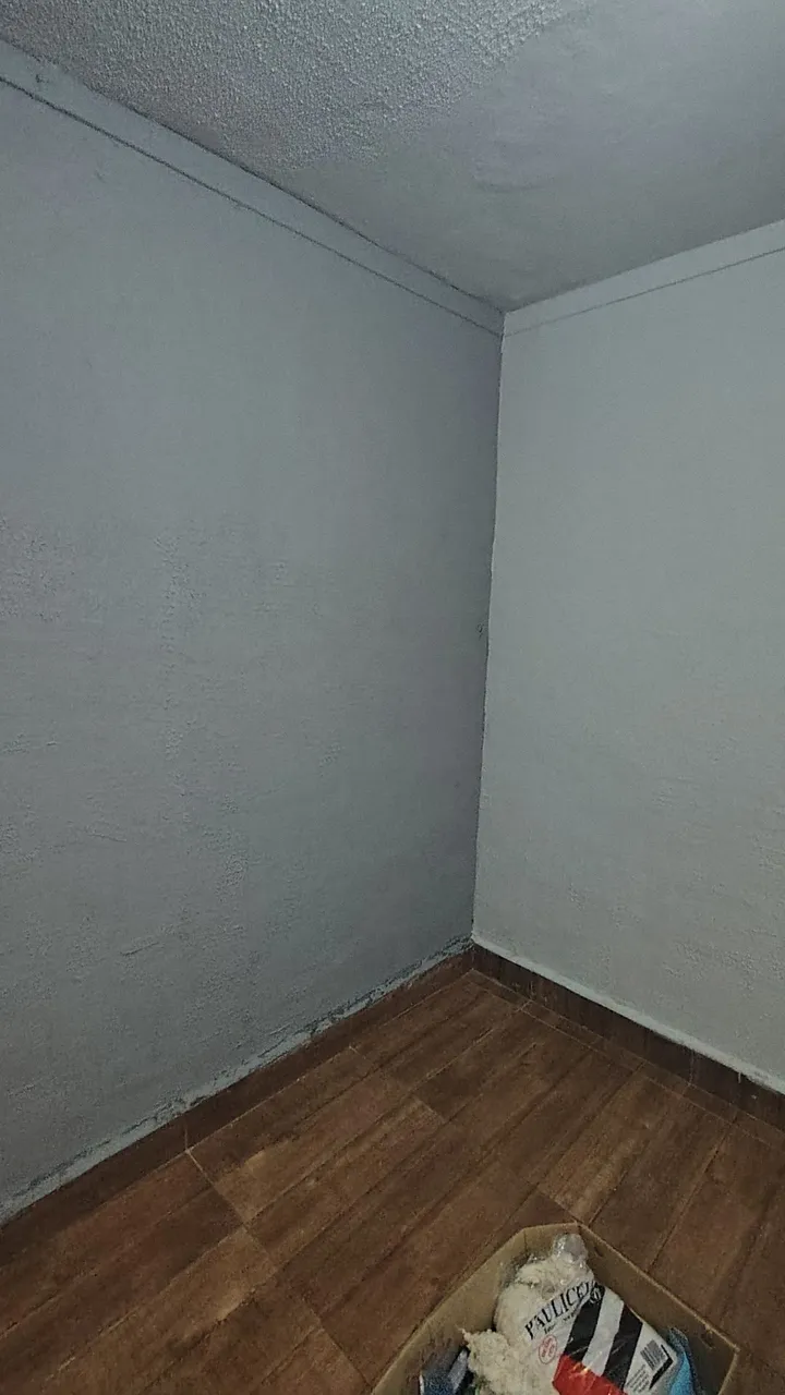 Дом без мебели: 1 спальня и 1 ванная — photo 6