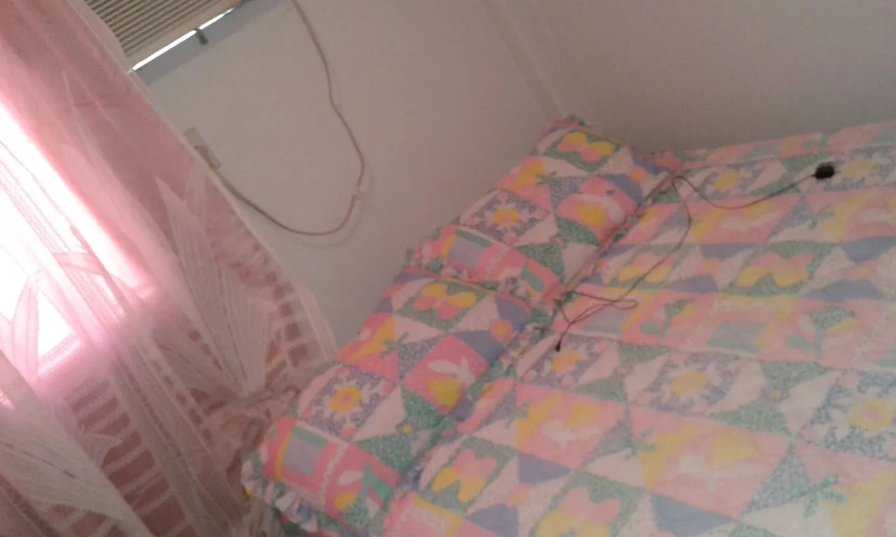 Furnished one-bedroom, 60 m² apartment in Rio de Janeiro — photo 12