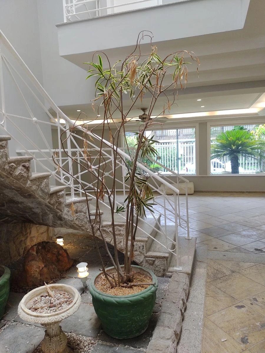 Casa de 650 m² con 6 suites y 5 plazas — photo 29