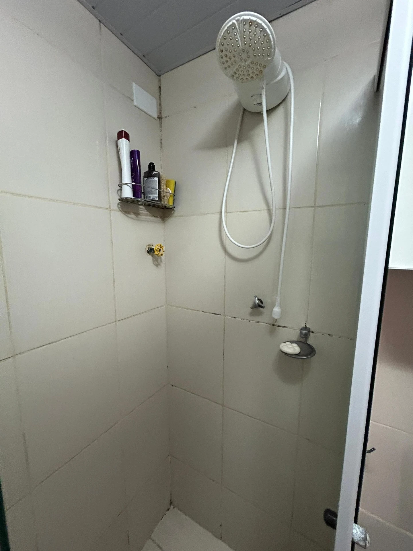 2-bedroom apartment with a washing machine in Rio de Janeiro — photo 27