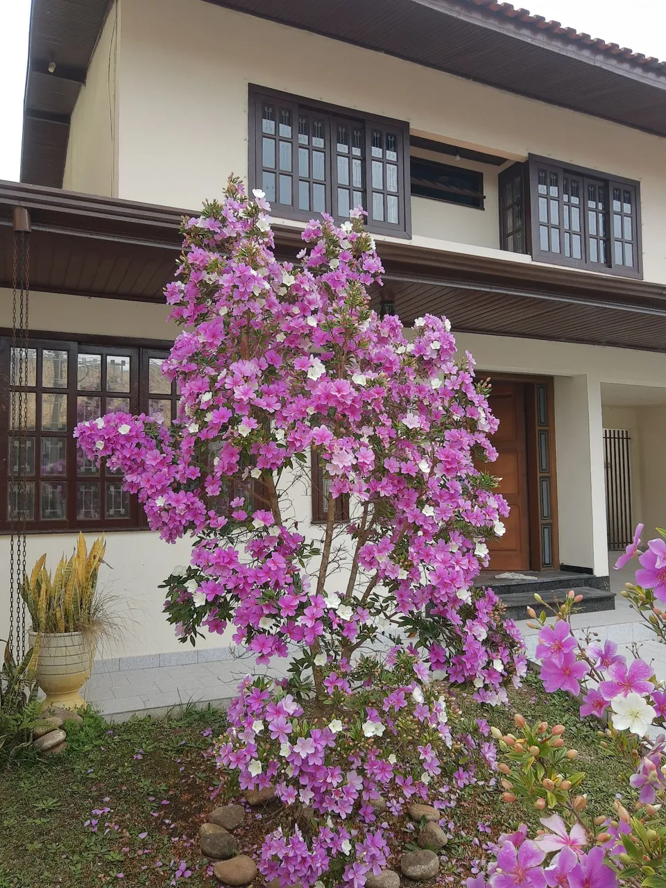 House for rent with 4 bedrooms and 3 bathrooms — photo 10