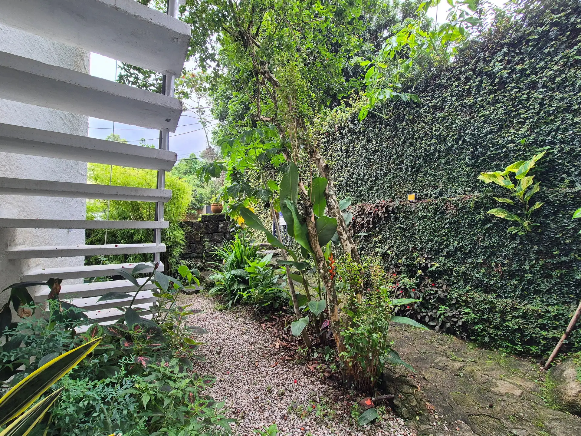 Condominium house to rent with 3 bedrooms and a suite — photo 42